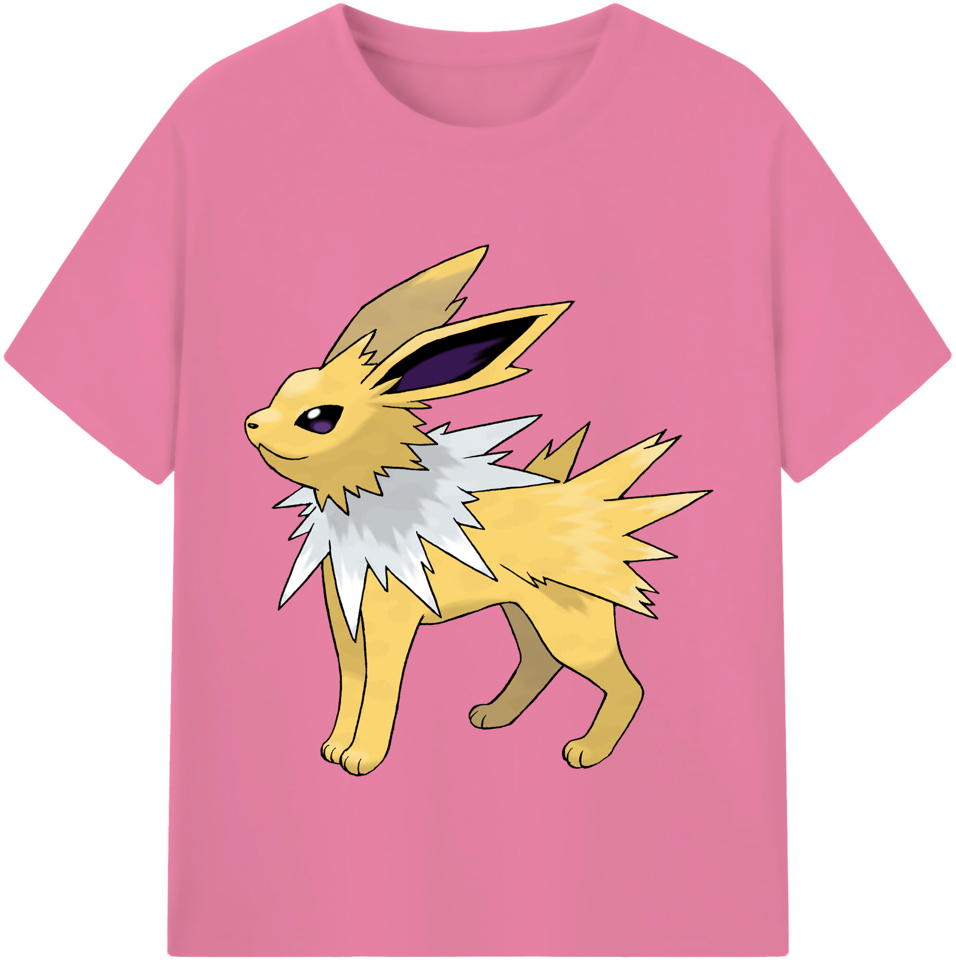 （画像用） ポケットモンスター Pokémon 綿100％半袖Tシャツ（フロントプリント）